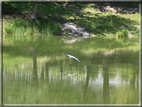 foto Lago di Terlago